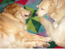 �N���b�N����ƈꖇ�\�����܂�